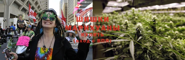 индика Магадан