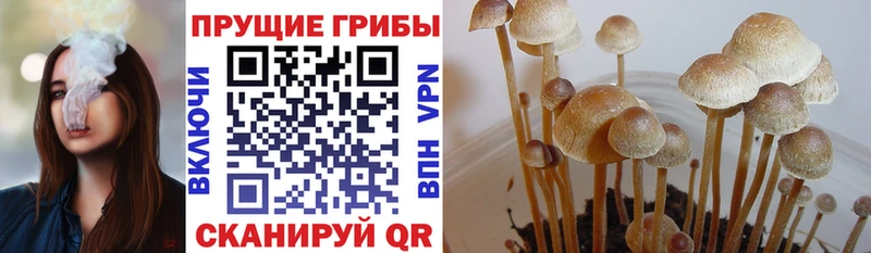 Галлюциногенные грибы ЛСД  Воронеж 